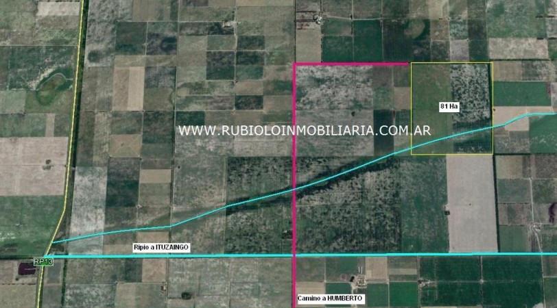 VIRGINIA - Campo 81 ha - Aptitud Agrícola-Ganadera