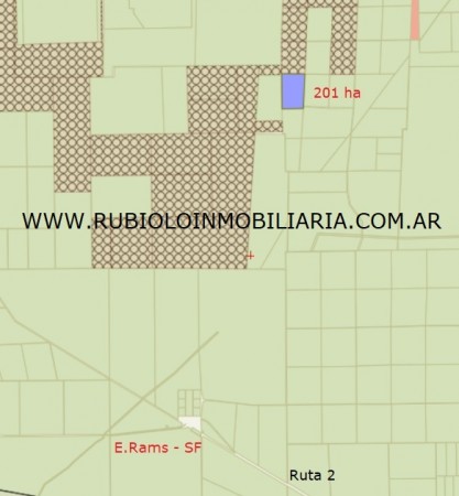 ESTEBAN RAMS - Campo Ganadero 201 ha