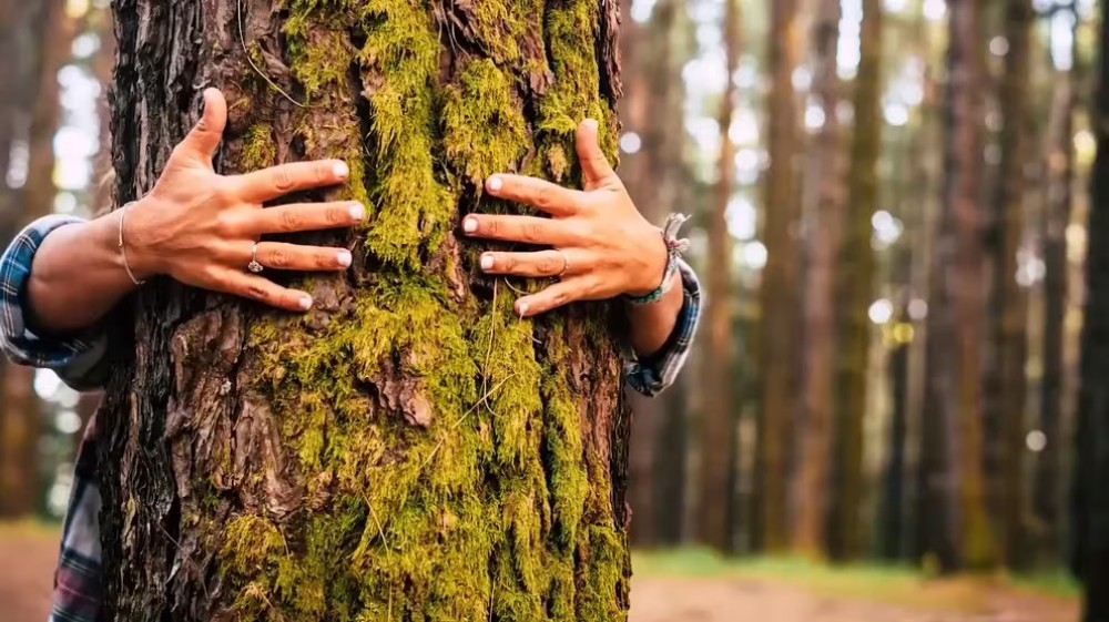 Innovación sustentable: clave para el desarrollo de las empresas
