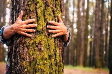 Innovación sustentable: clave para el desarrollo de las empresas